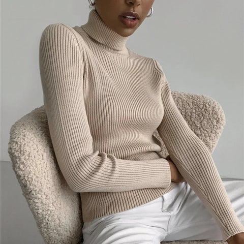 2021 Basic Turtleneck Women Sweaters Autumn Winter Thick Warm Pullover Slim Tops Ribbed Knitted Sweater Jumper Soft Pull Female image