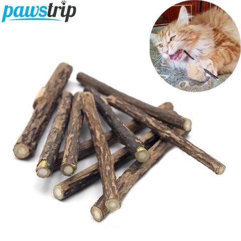 10/15/20pcs/lot Natural Matatabi Pet Cat Snacks Sticks Cleaning Tooth Catnip Cat Toys Actinidia Silvervine Pet Toy For Cats image