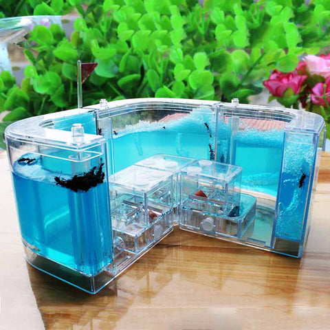 1PCS 3D Insect Acrylic Ants For Ant Farm Observed Expansion Maze House Educational Decor Accessories Observed World Ant Box image