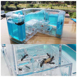 1PCS 3D Insect Acrylic Ants For Ant Farm Observed Expansion Maze House Educational Decor Accessories Observed World Ant Box