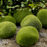 1PCS Ant Farm Mini Moss Stones Decoration Ecology Ant Nest Accessories Tool Pet Anthill for Ant House Micro-Landscape Decoration