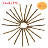 10/15/20pcs/lot Natural Matatabi Pet Cat Snacks Sticks Cleaning Tooth Catnip Cat Toys Actinidia Silvervine Pet Toy For Cats