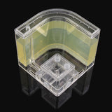 1PCS 3D Insect Acrylic Ants For Ant Farm Observed Expansion Maze House Educational Decor Accessories Observed World Ant Box